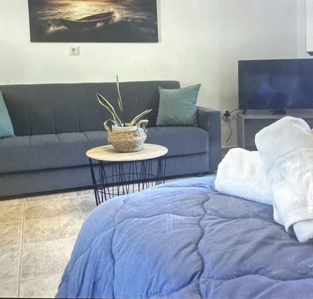 Garden View Studio - Living Area Garden View Studio - Living Area